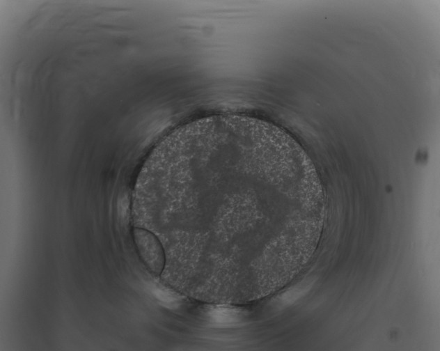 X0000094190336200711241620