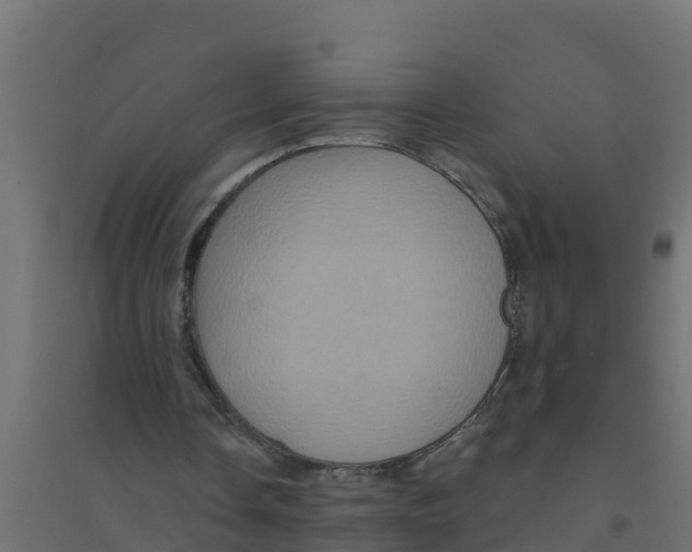 X0000094190338200711241620