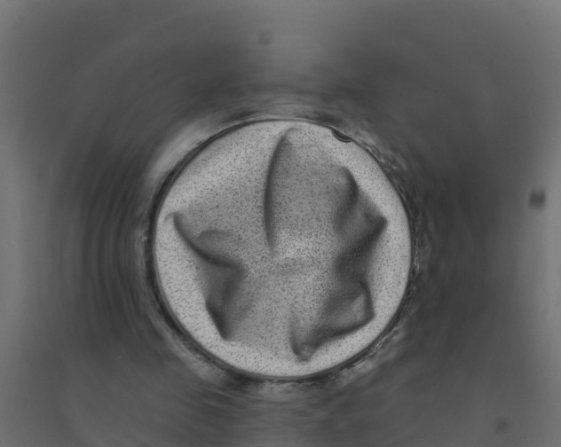 X0000094190341200711241620