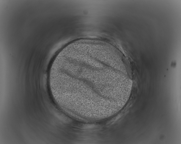 X0000094190342200711241620