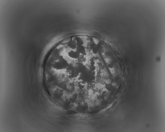 X0000094190343200711241620