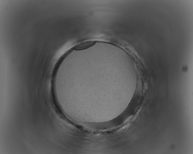 X0000094190344200711241620