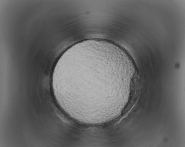 X0000094190345200711241620