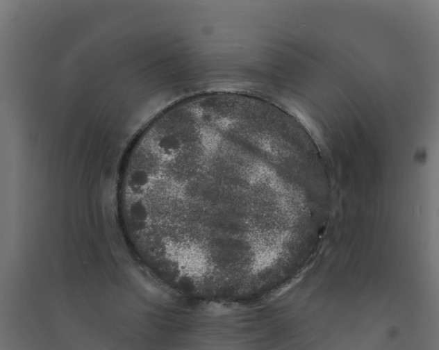 X0000094190346200711241620