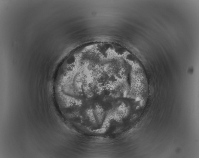 X0000094190347200711241620