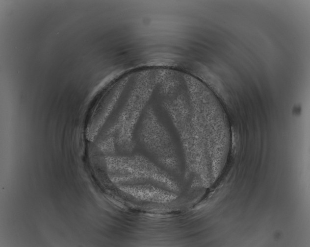 X0000094190348200711241620