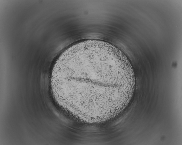 X0000094190349200711241620
