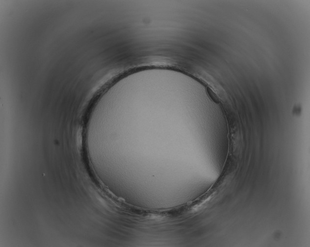 X0000094190350200711241620