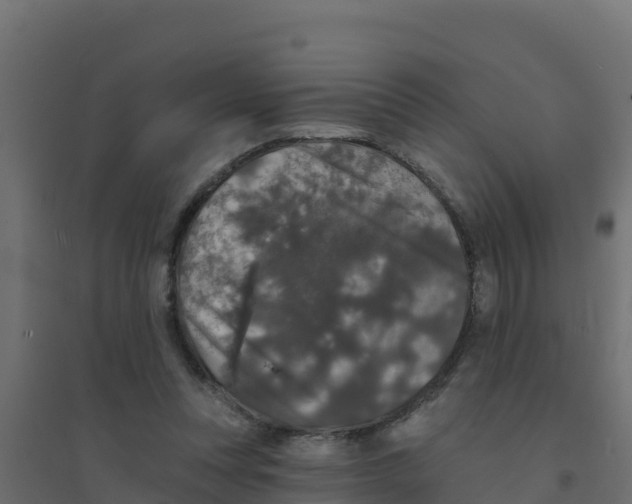 X0000094190351200711241620