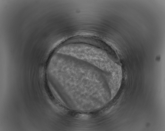 X0000094190352200711241620