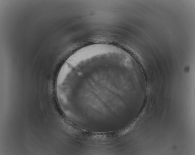 X0000094190353200711241620