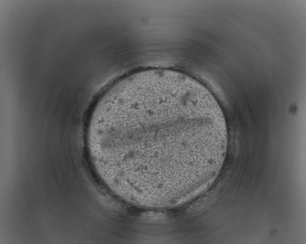 X0000094190354200711241620