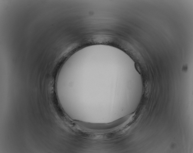 X0000094190356200711241620