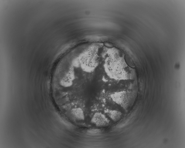 X0000094190357200711241620