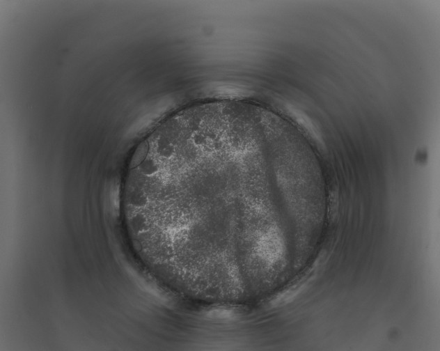 X0000094190358200711241620