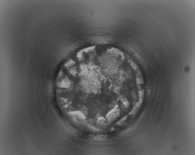 X0000094190359200711241620