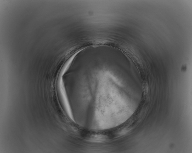 X0000094190360200711241620
