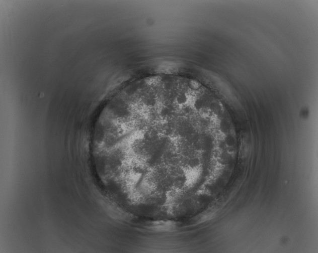 X0000094190363200711241620