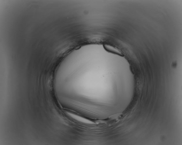 X0000094190364200711241620