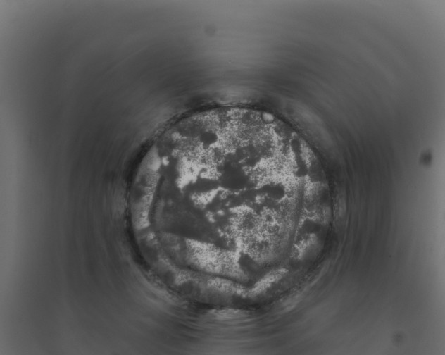 X0000094190367200711241620