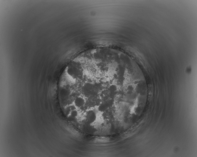 X0000094190369200711241620