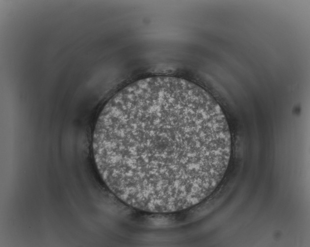 X0000094190370200711241620