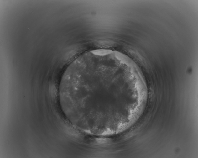 X0000094190371200711241620