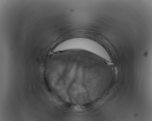 X0000094190372200711241620