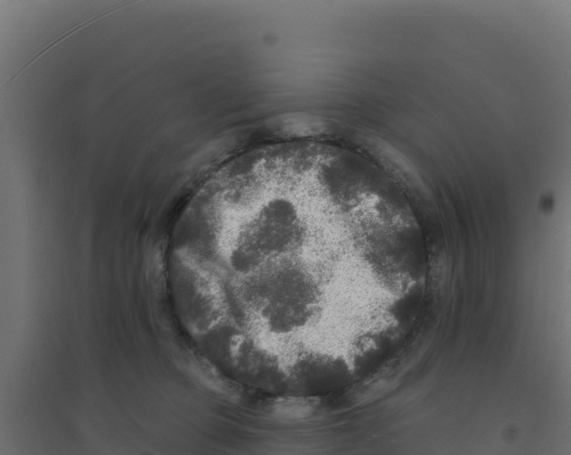 X0000094190373200711241620