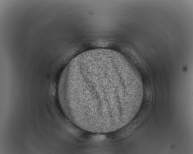X0000094190374200711241620