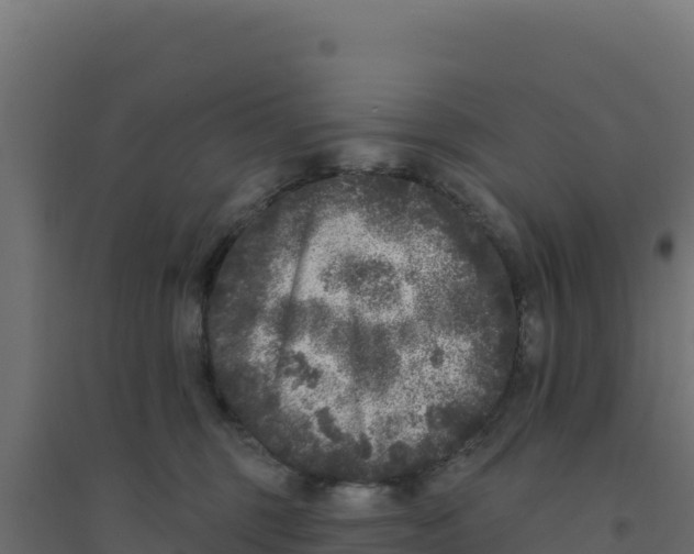 X0000094190375200711241620