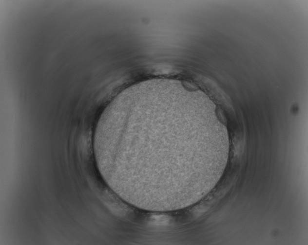 X0000094190376200711241620