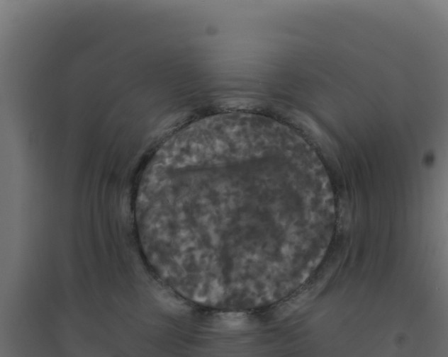 X0000094190377200711241620