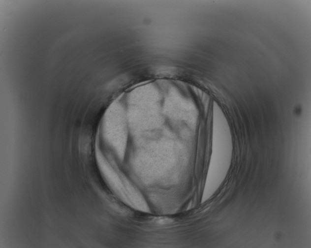 X0000094190379200711241620