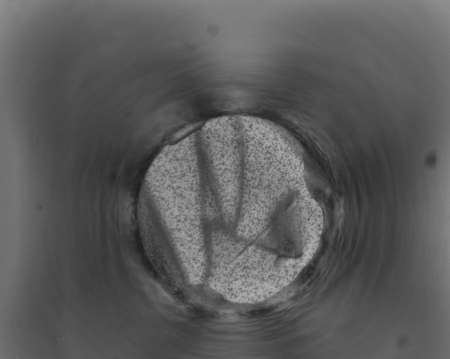 X0000094190380200711241620