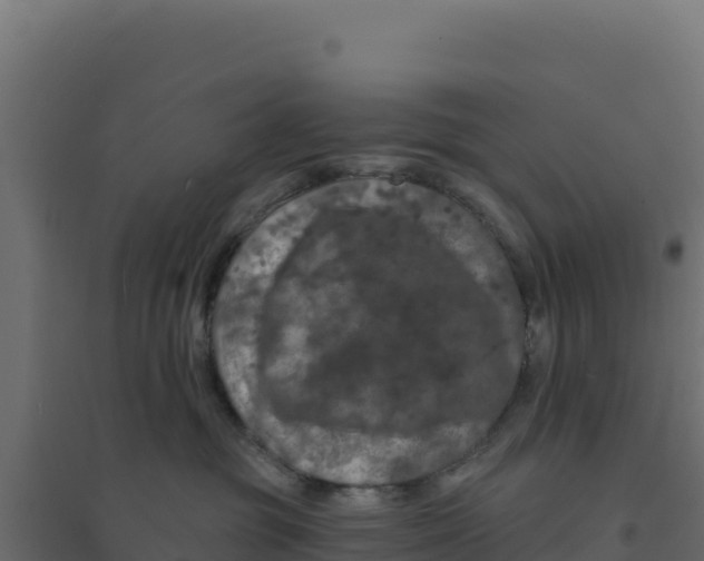 X0000094190381200711241620