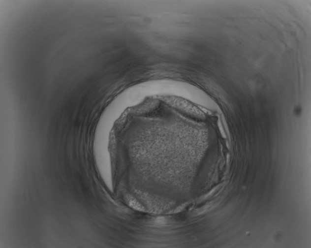 X0000094190382200711241620