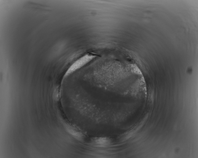 X0000094190383200711241620