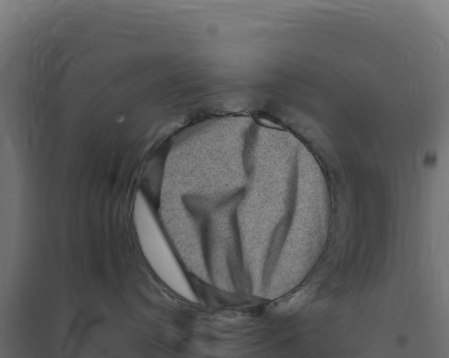 X0000094190384200711241620