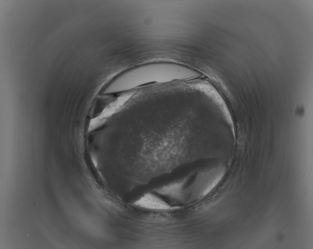 X0000094190386200711241620
