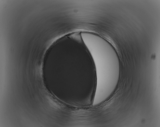 X0000094190387200711241620
