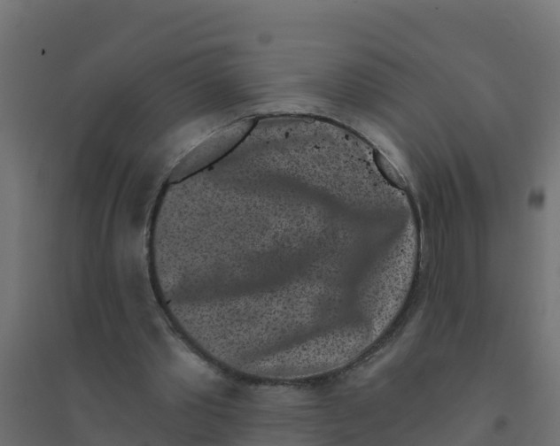 X0000094190389200711241620