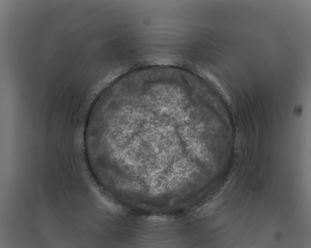 X0000094190394200711241620