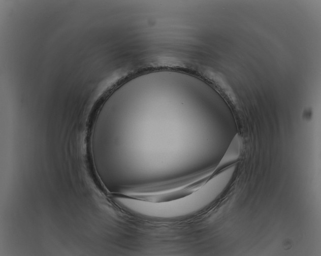 X0000094190395200711241620
