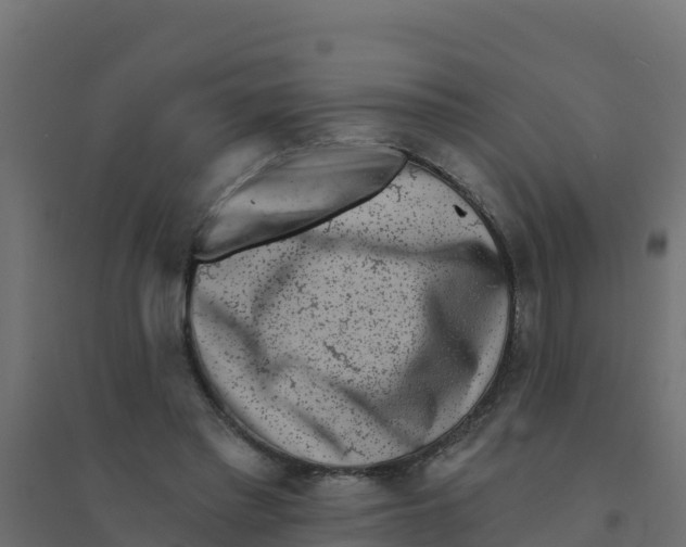 X0000094190397200711241620