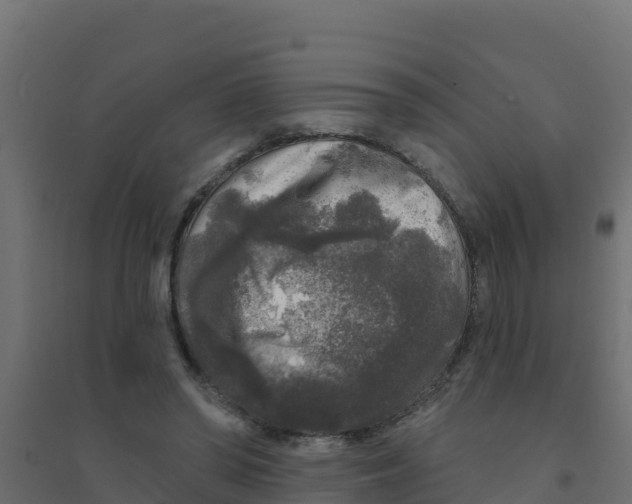 X0000094190398200711241620