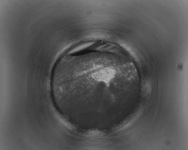 X0000094190399200711241620