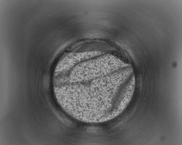 X0000094190400200711241620