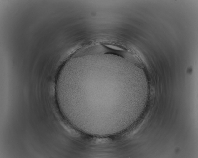 X0000094190401200711241619