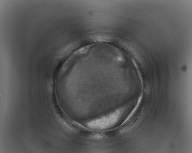 X0000094190402200711241619